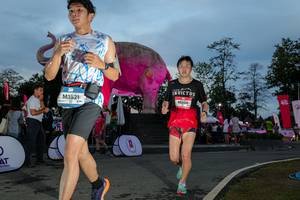 BIB: 
                            <button type="button" onclick="openModal(26529600)" class="btn btn-primary btn-sm float-right btn-popup" data-toggle="modal" data-target=".modal-high-quality">
                        <i class="fas fa-shopping-cart"></i> Add to Cart
                    </button>
                                            <button type="button" onclick="isThisMe(26529600, true)" class="btn btn-success btn-sm float-right btn-popup btn-isme hidden" data-toggle="tooltip" data-placement="bottom" title="นี่คือรูปของคุณใช่ไหม คลิกที่นี่เพื่อเอาเข้าอัลบั้ม">
                        <i class="fas fa-plus"></i> Add to album
                    </button>
                    <button type="button" onclick="isThisMe(26529600, false)" class="btn btn-warning btn-sm float-right btn-popup btn-isnotme hidden">
                        <i class="fas fa-ban"></i> Remove from album
                    </button>